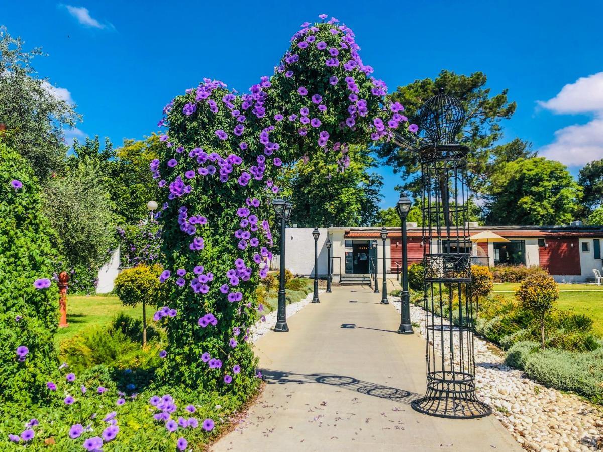 Erettz Dafna Travel Hotel Eksteriør billede